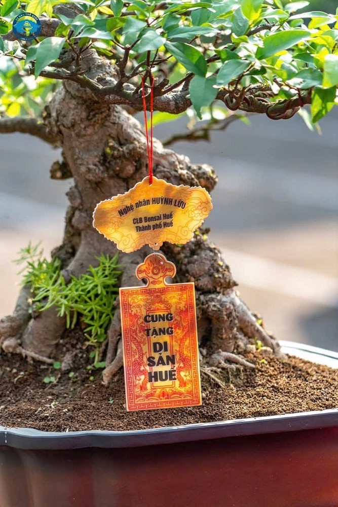 Three-Region Ornamental Plant Exhibition: Bringing 