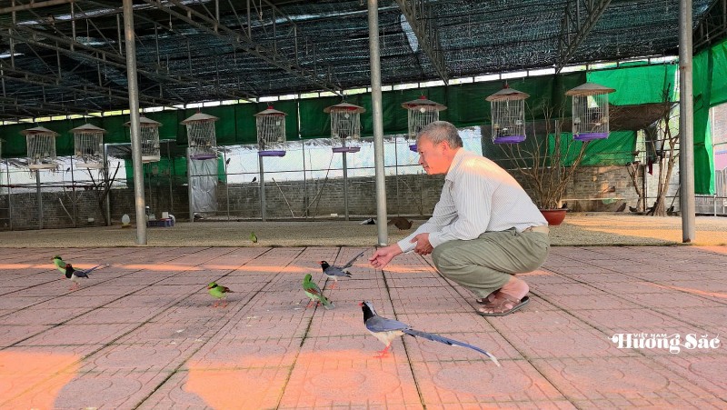 The unique aviary - home to over 500 vibrant bird species