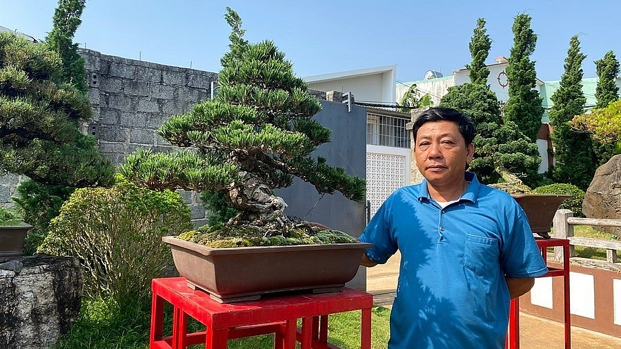 Check-in at a picturesque Japanese-style pine bonsai garden in Pleiku