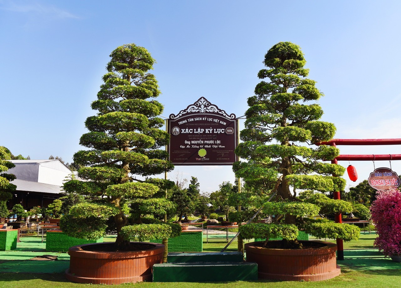 Artisan Nguyen Phuoc Loc: The keeper of Vietnamese bonsai soul
