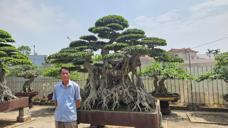 A passionate horticulturist committed to preserving the Sanh Da bonsai lineage in Hưng Yên
