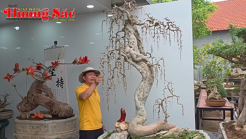 Surprised by the model of a producer and bonsai player for over 30 years in Bac Giang Province