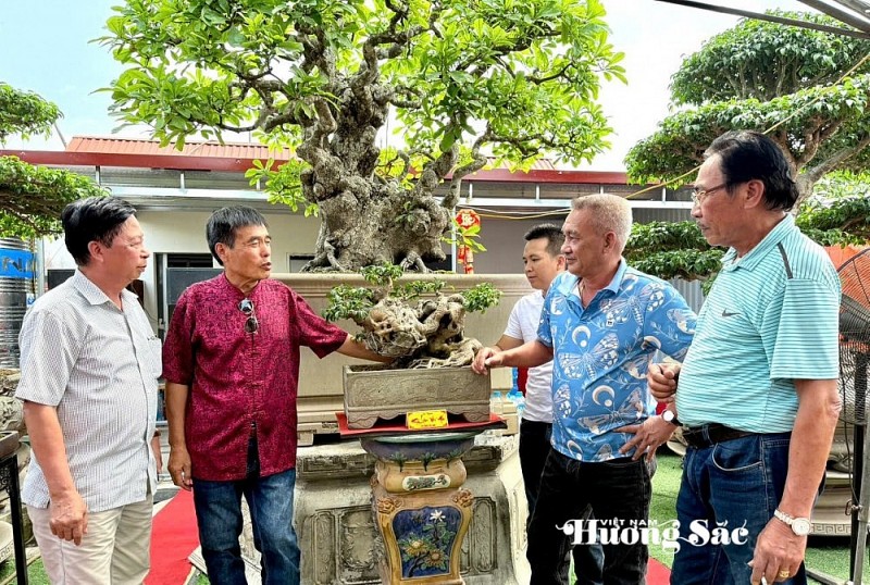 Hoa "Taxi" - A typical bonsai artist in Van Giang District, Hung Yen Province