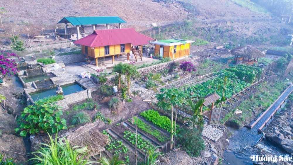 Leaving the city behind: Young couple turns barren land into a thriving business, earning hundreds of millions per month