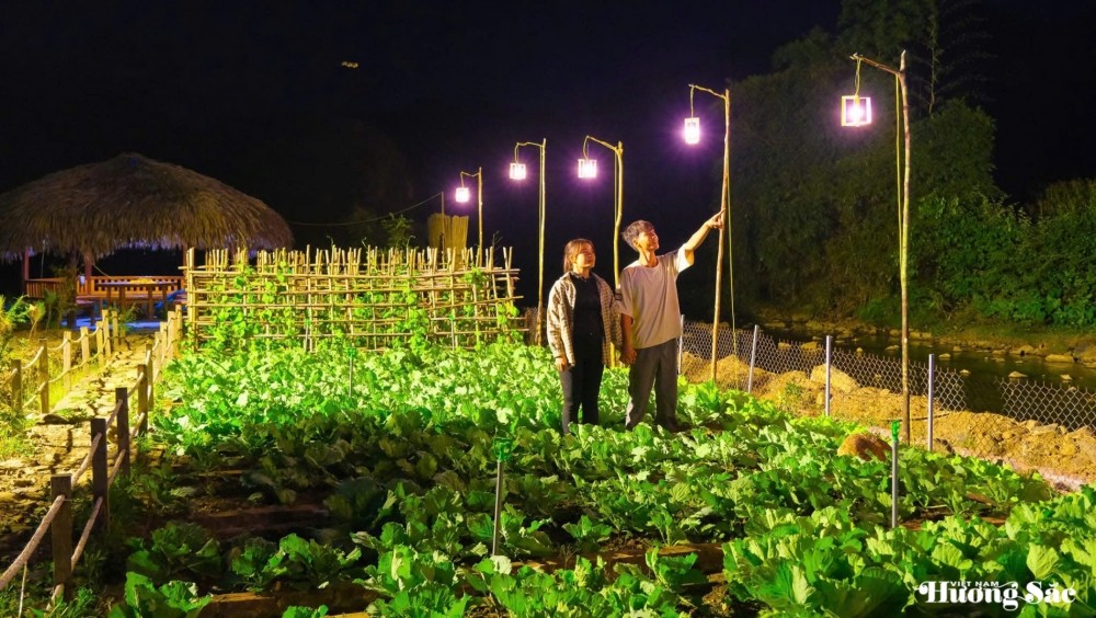 Leaving the city behind: Young couple turns barren land into a thriving business, earning hundreds of millions per month