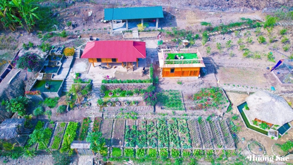 Leaving the city behind: Young couple turns barren land into a thriving business, earning hundreds of millions per month