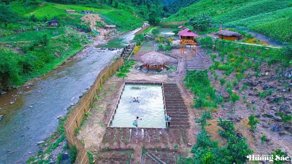 Leaving the city behind: Young couple turns barren land into a thriving business, earning hundreds of millions per month