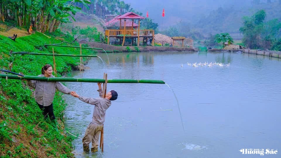 Leaving the city behind: Young couple turns barren land into a thriving business, earning hundreds of millions per month