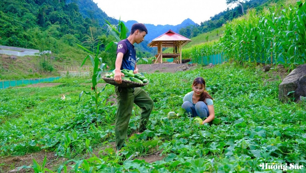 Leaving the city behind: Young couple turns barren land into a thriving business, earning hundreds of millions per month