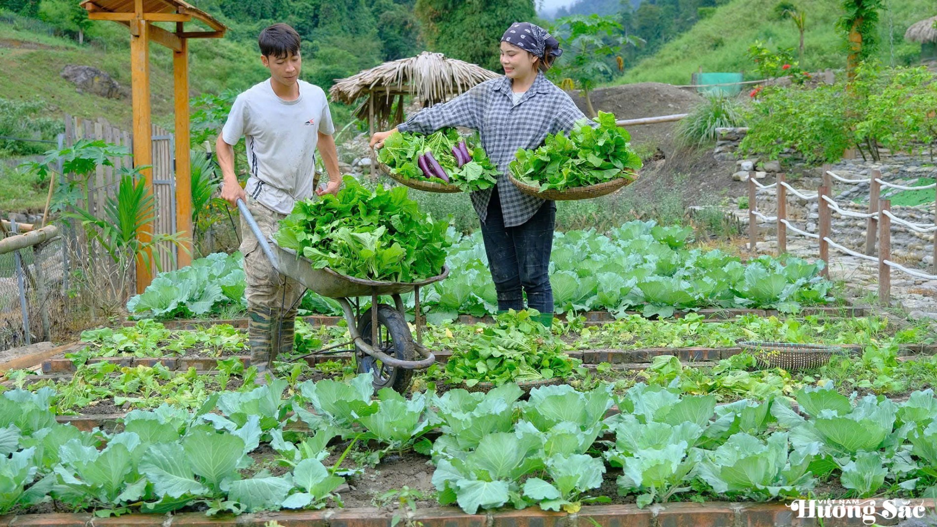 Leaving the city behind: Young couple turns barren land into a thriving business, earning hundreds of millions per month