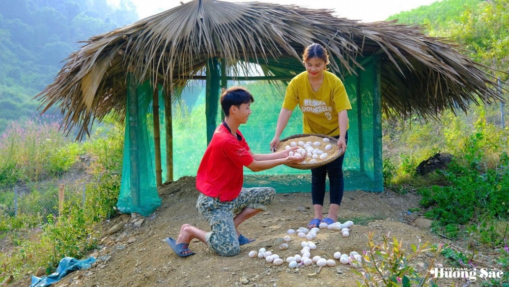 Leaving the city behind: Young couple turns barren land into a thriving business, earning hundreds of millions per month