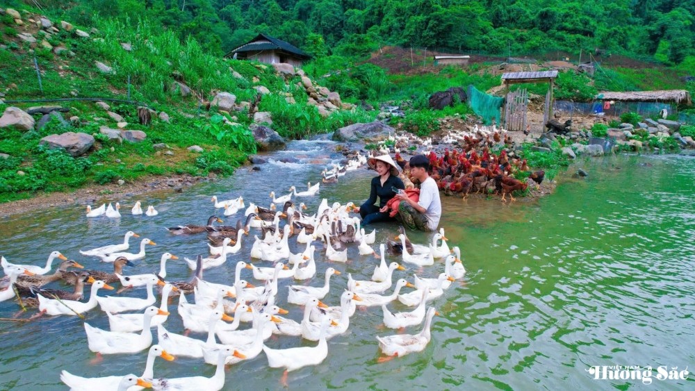 Leaving the city behind: Young couple turns barren land into a thriving business, earning hundreds of millions per month