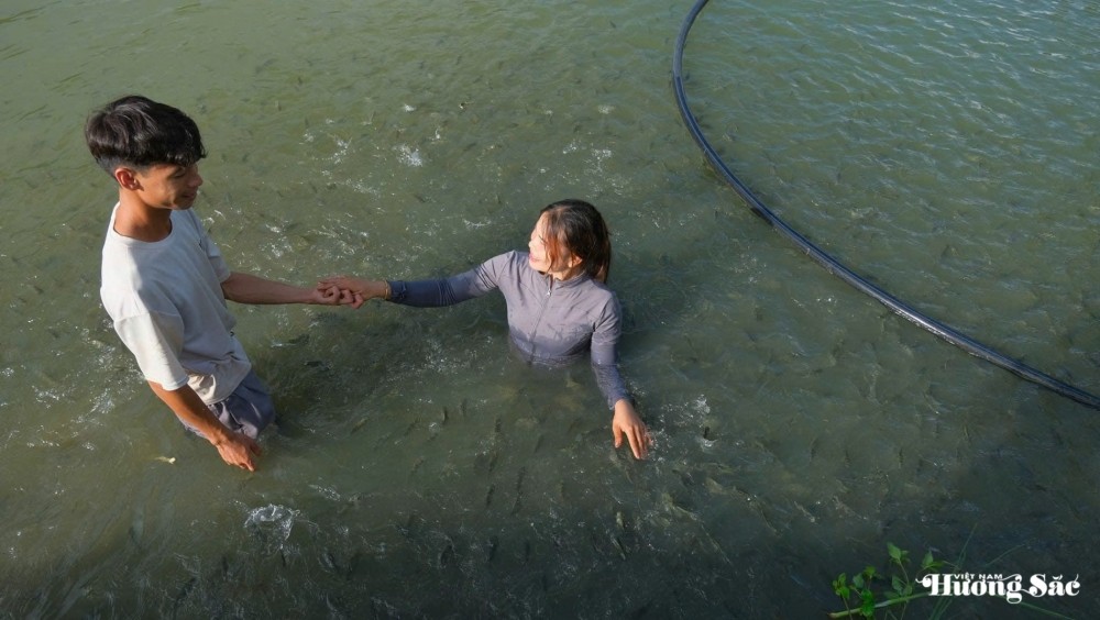 Leaving the city behind: Young couple turns barren land into a thriving business, earning hundreds of millions per month