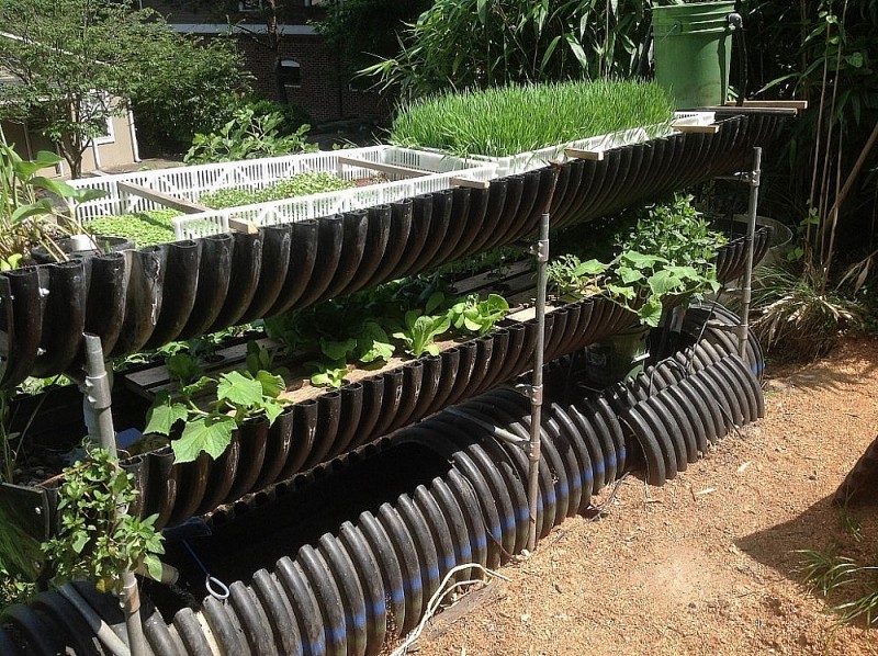 Bioponic vertical garden: When green sprouts in the heart of the city