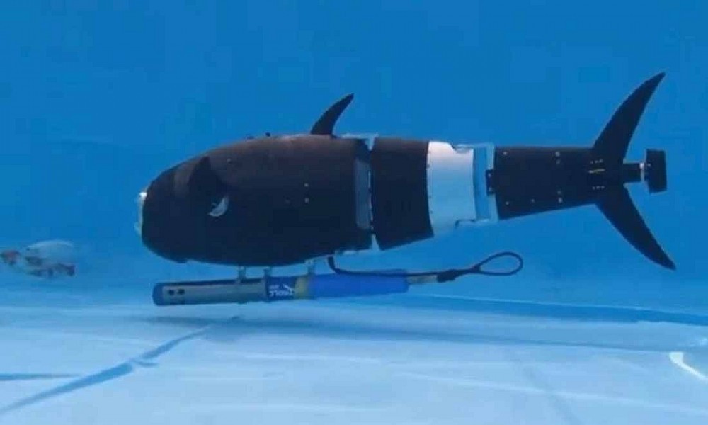 Fish robots: Technological solutions open the era of smart aquaculture