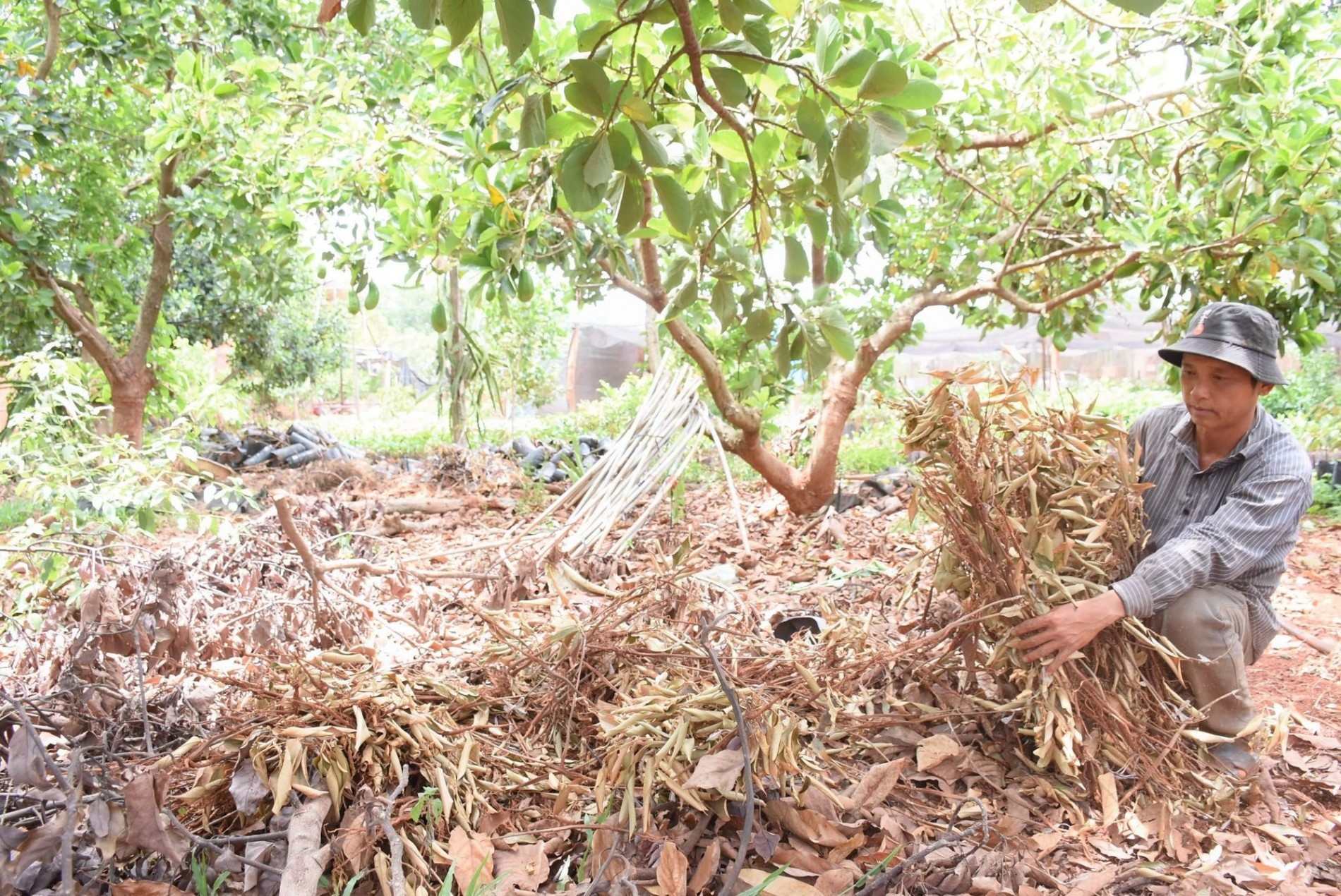 From fake fertilizers to green transformation: Opportunities in challenges