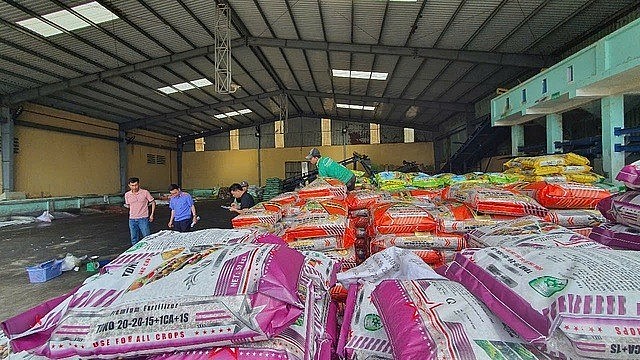 From fake fertilizers to green transformation: Opportunities in challenges
