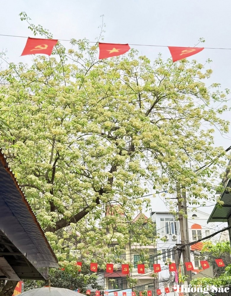 Bún Flowers: Hanoi’s hidden floral delight