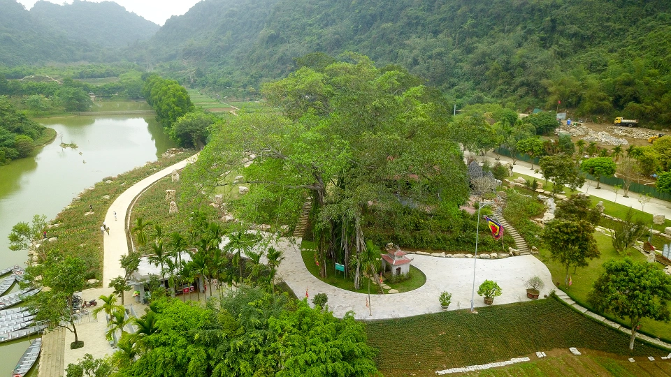 The thousand-year-old "moving" banyan tree in Ninh Binh, each step takes a century