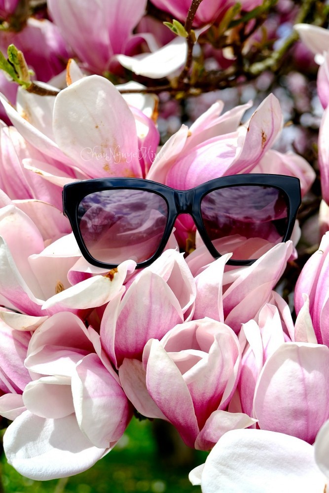 Vietnamese women and magnolia blooming seasons in Europe
