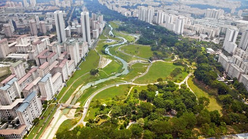 Trồng cây bản địa: Xu hướng làm đẹp không gian sống và gọi chim về tổ gây sốt