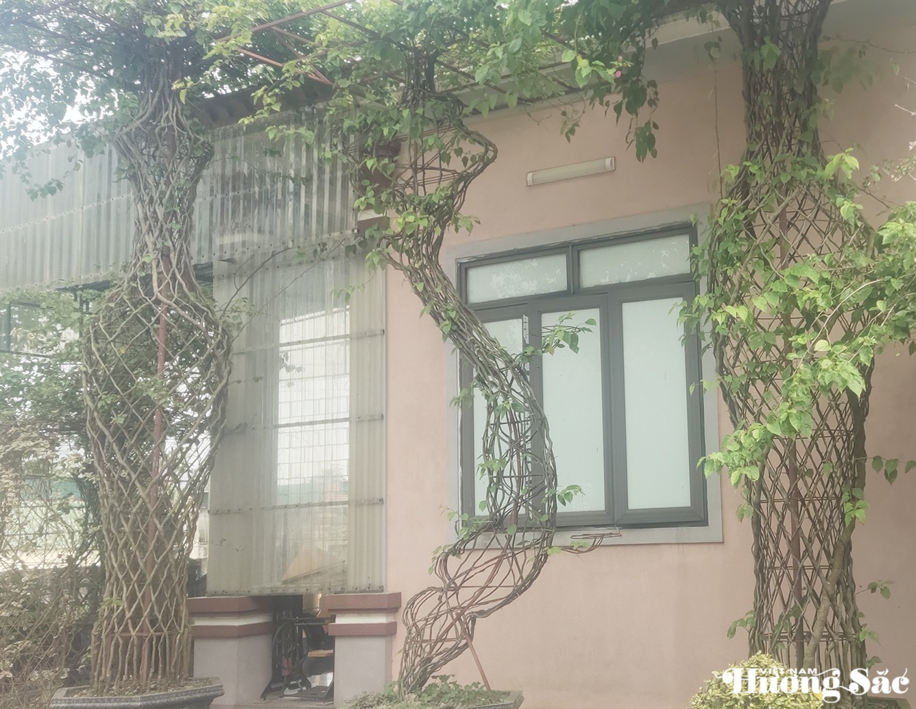 Ngắm những tác phẩm lục bình độc đáo từ cây của chàng trai 9X