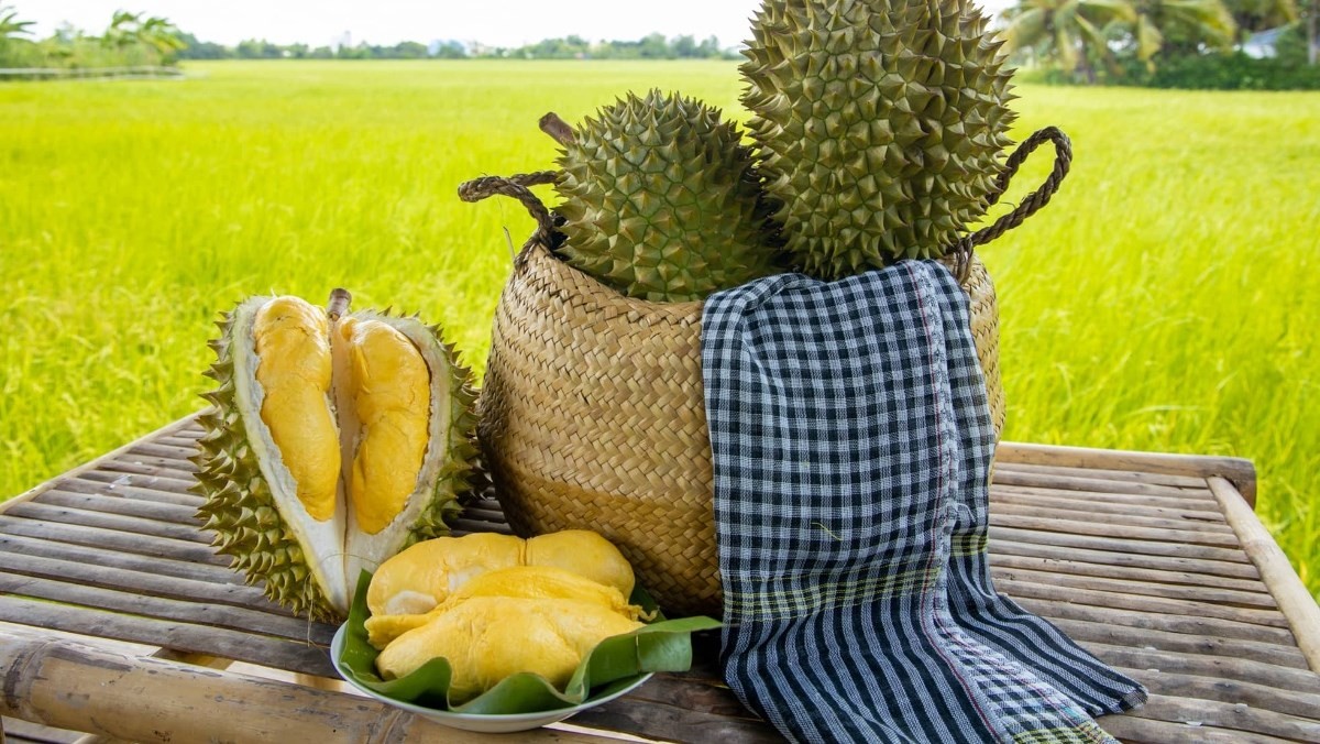 Kanyao – xa xỉ, quý hiếm; Ri6 – thơm béo, dễ tiếp cận. Hai “đại diện quốc dân” của Thái Lan và Việt Nam mỗi loại một đẳng cấp riêng.