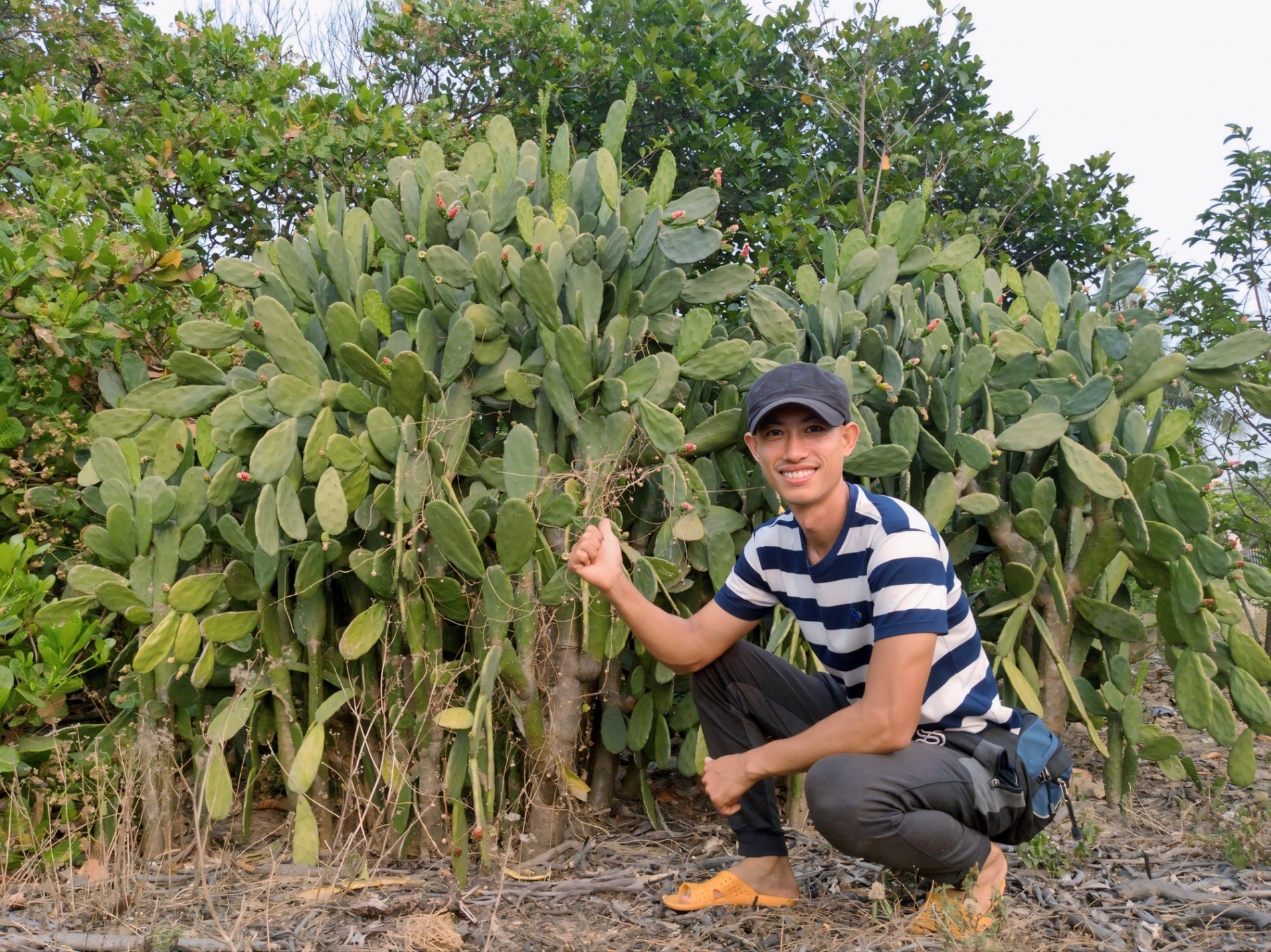 Bỏ việc văn phòng lương ngàn đô, chàng kỹ sư biến xương rồng thành đồ ăn thức uống