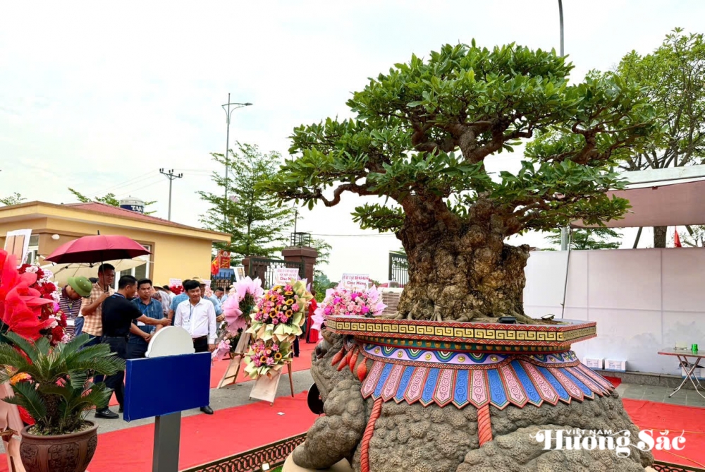 Hơn 1.000 tác phẩm tham gia Triển lãm sinh vật cảnh huyện Văn Giang mở rộng 2025