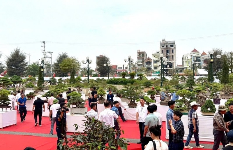 Over 1,000 artworks featured in the 2025 Expanded Ornamental Creatures Exhibition of Van Giang District