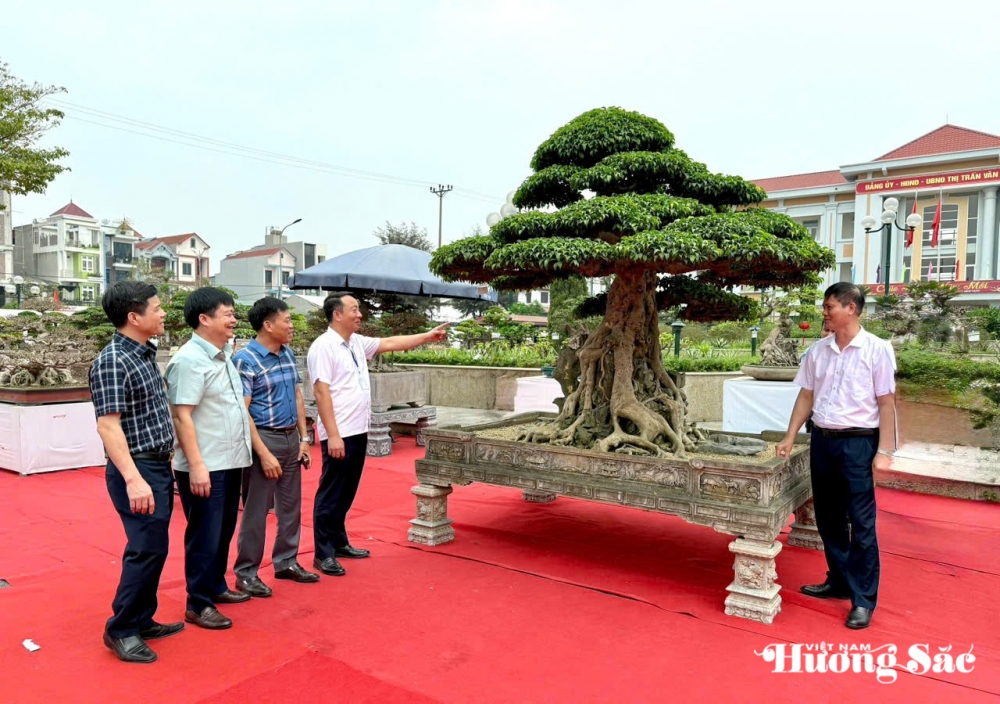 Hơn 1.000 tác phẩm tham gia Triển lãm sinh vật cảnh huyện Văn Giang mở rộng 2025