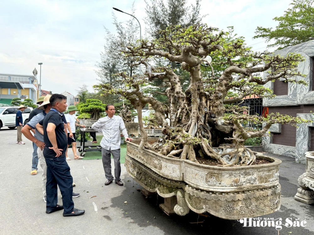 Hơn 1.000 tác phẩm tham gia Triển lãm sinh vật cảnh huyện Văn Giang mở rộng 2025