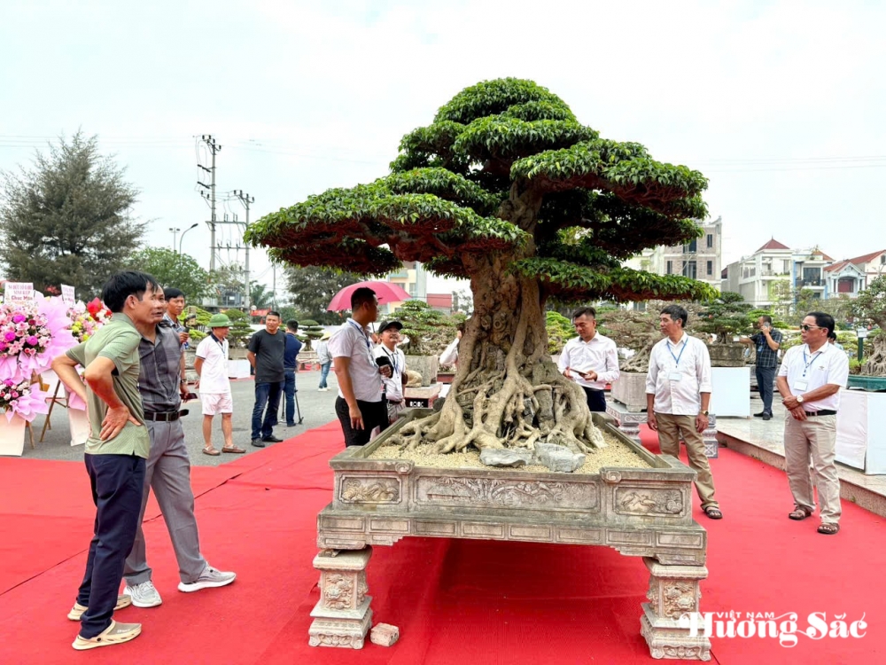 Hơn 1.000 tác phẩm tham gia Triển lãm sinh vật cảnh huyện Văn Giang mở rộng 2025