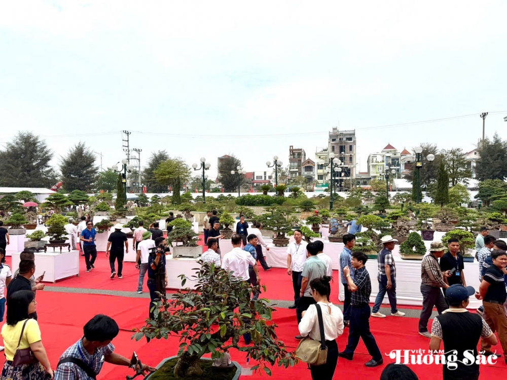 Hơn 1.000 tác phẩm tham gia Triển lãm sinh vật cảnh huyện Văn Giang mở rộng 2025