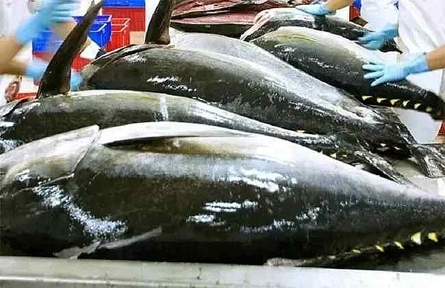 After durian, Vietnamese tuna emerges as a strong competitor to Thailand in global market